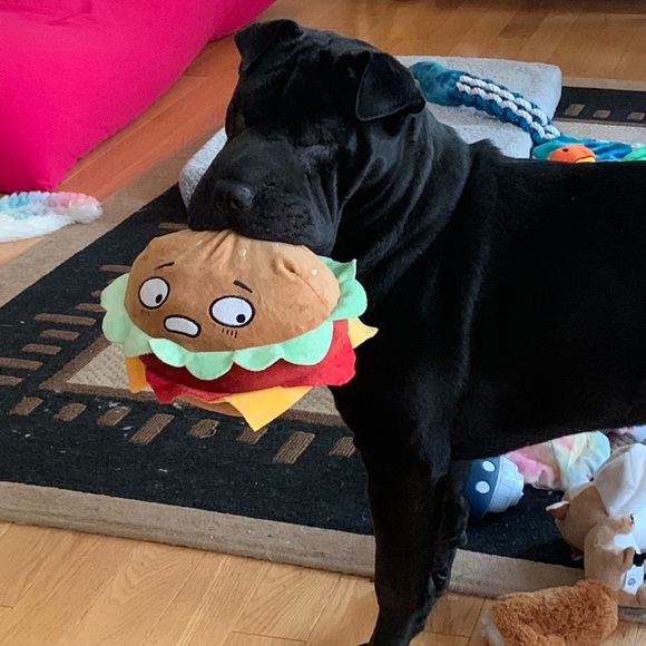 Meet your Posher, Samantha - Picture 2 of 2